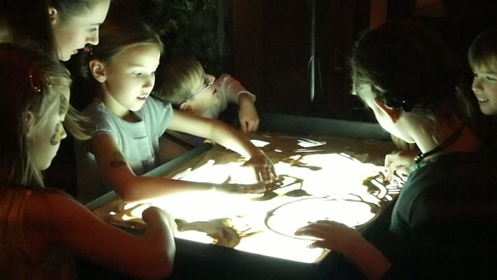 Световой стол 70*50*63 см (дерево) фото 5